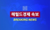 [속보] 코스피, 2400 붕괴…35.79p(1.47%) 내린 2,392.37 개장 [투자360]