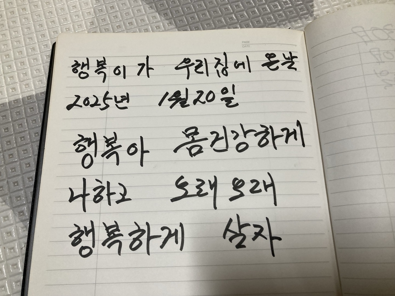 행복이를 입양한 날 박순자씨가 쓴 글. 손인규 기자