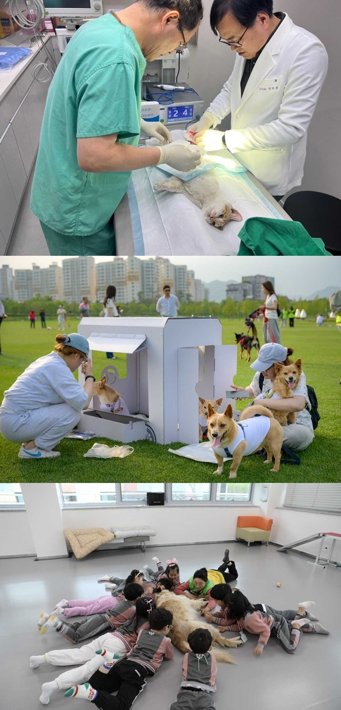 순천시가 1500만명으로 추산되는 반려동물 시대를 맞아 친화 도시를 조성하고 있다.