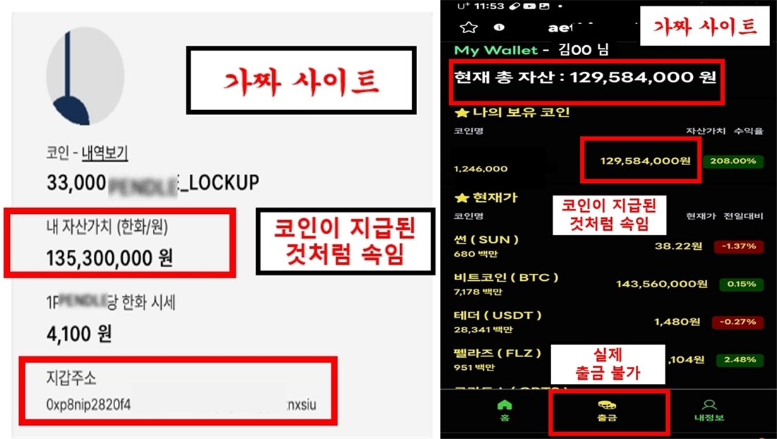 가짜 코인 지갑사이트 예시 [금융감독원 제공]