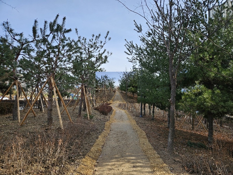 기후 대응 도시 숲