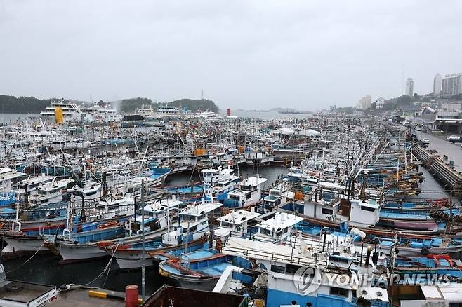 여수 국동항에 정박 중인 어선들. [사진 연합뉴스]