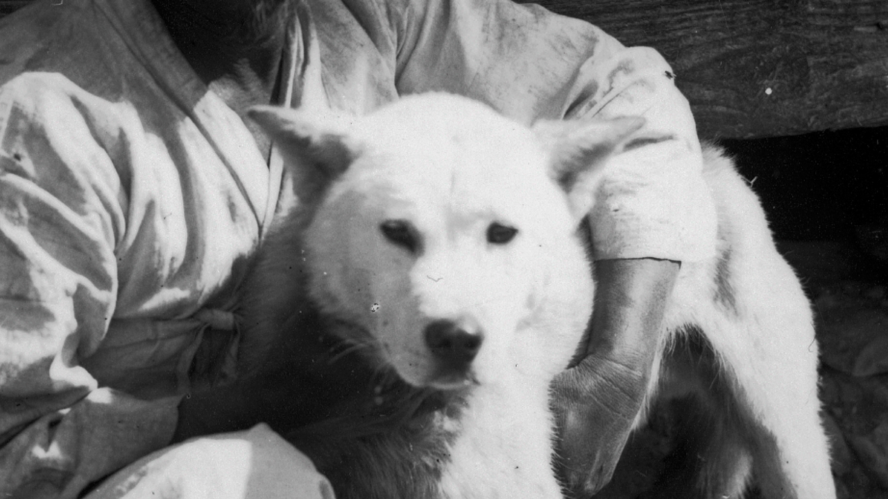Still image from "Love Death Dog & Epilogue" (Gwon Dong-hyun x Kwon Sea-jung)