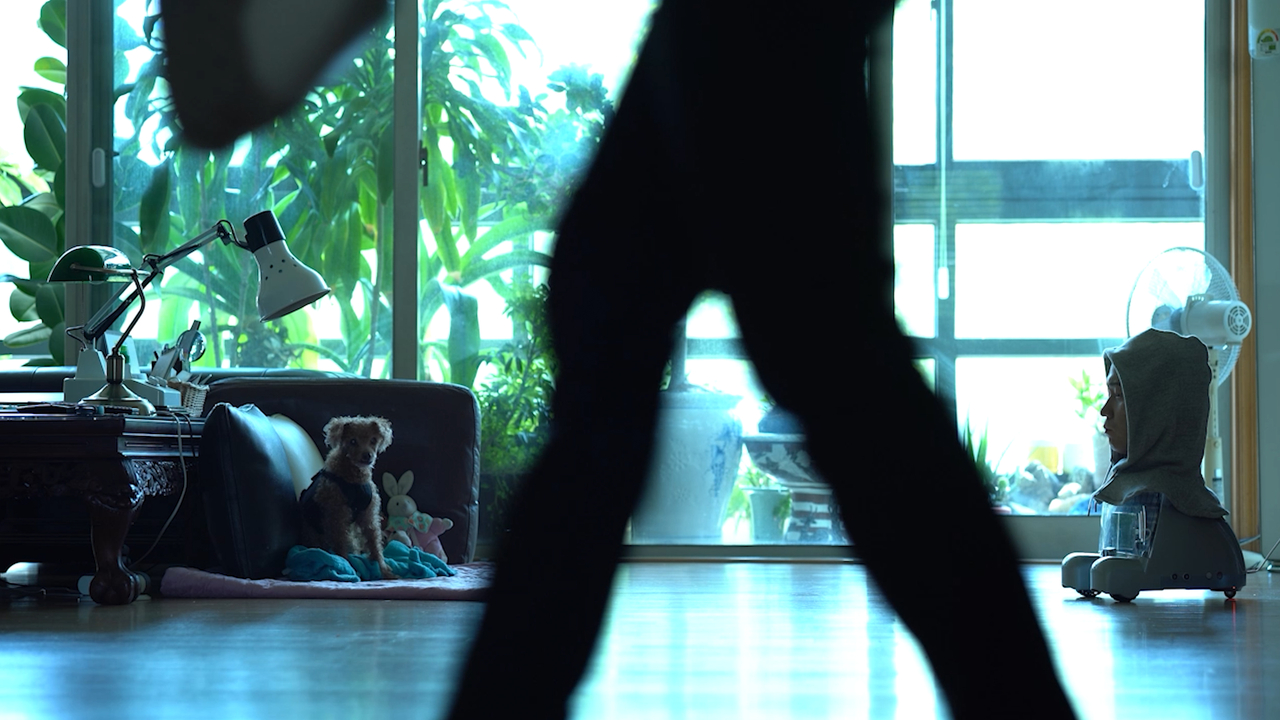 Still image from "Seddy, How to Meet Dodo" (Gwon Dong-hyun x Kwon Sea-jung)