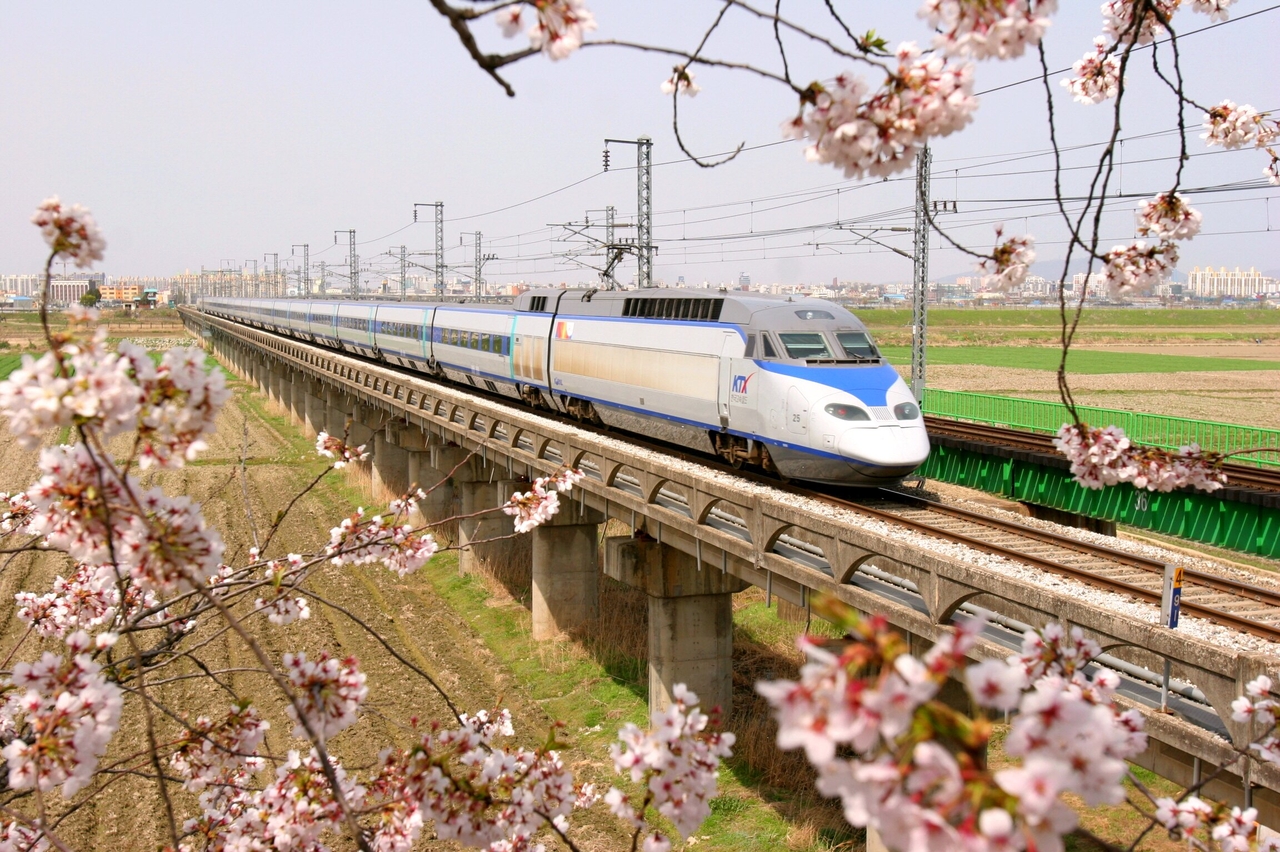 봄꽃 사이 KTX