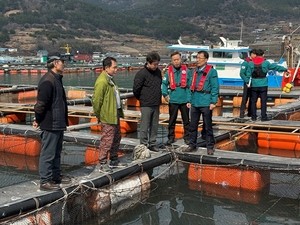 여수시, 저수온 폐사 어류양식 개선책 해수부에 건의