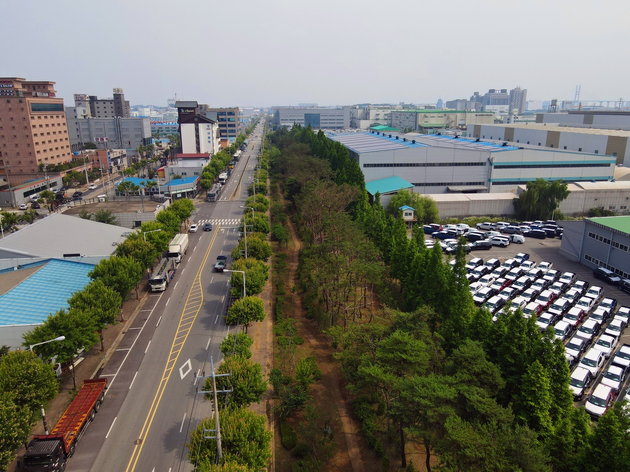 경기도 평택시 포승산업단지 미세먼지 차단숲.