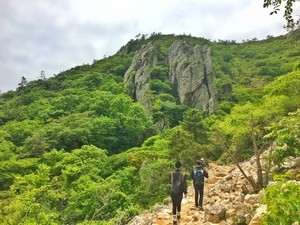 한반도의 봄이 시작되는 곳,해남 달마고도 봄길이 열린다