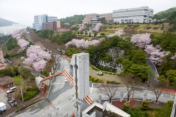 전남대 여수캠퍼스