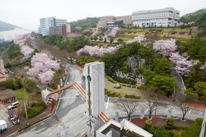 전남동부이민외국인지원센터 7개 시군 관할 상반기 개청