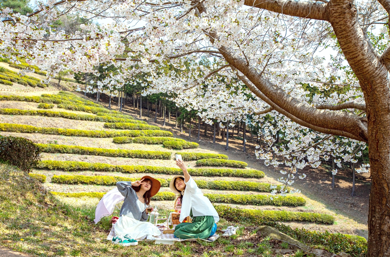 “전남 힘내, 화이팅” 보성차밭 피크닉