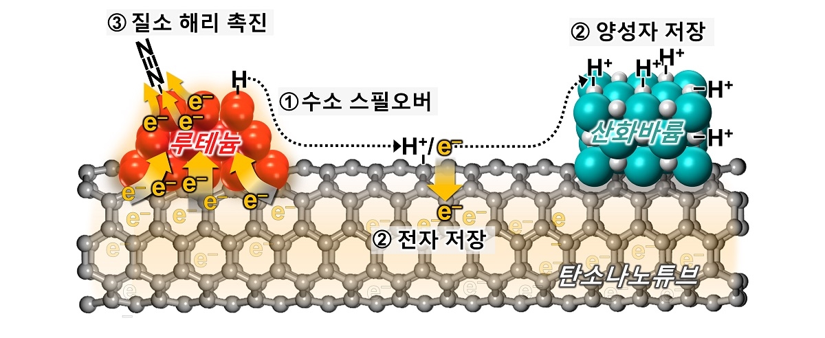 산화바륨 조촉매의 루테늄 촉매 활성 증진 기작을 나타내는 모식도.[KAIST 제공]