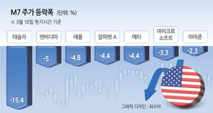 트럼프 “경기 침체도 불사” 美 M7시총 1129조 증발