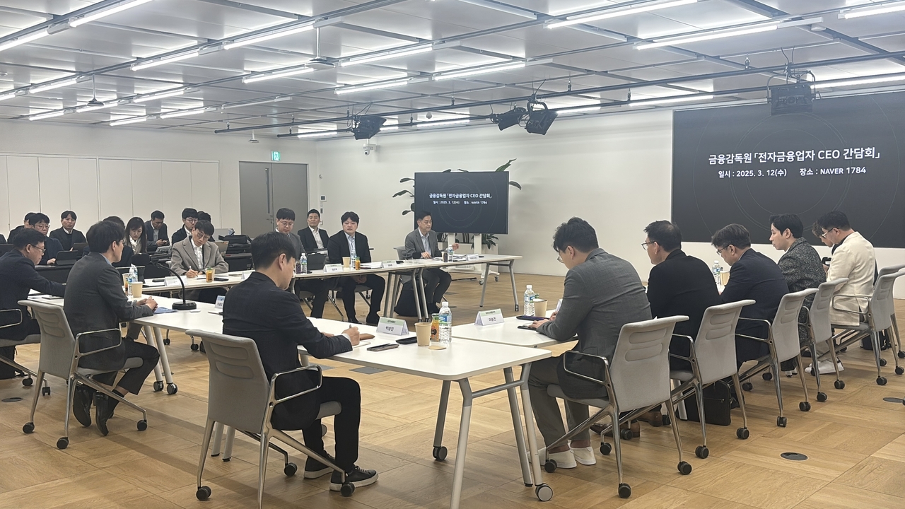 금융감독원이 12일 경기 성남시 분당구 네이버파이낸셜 본사에서 이종오 디지털·정보기술(IT) 부원장보 주재로 전자금융업자 최고경영자(CEO) 간담회를 열었다. 이 부원장보가 인사말을 하고 있다. [금감원 제공]