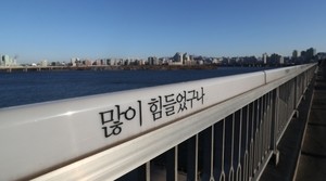 “한강 투신했는데 살았다” 아내·엄마 살해한 父子…‘간병 살인’ 비극