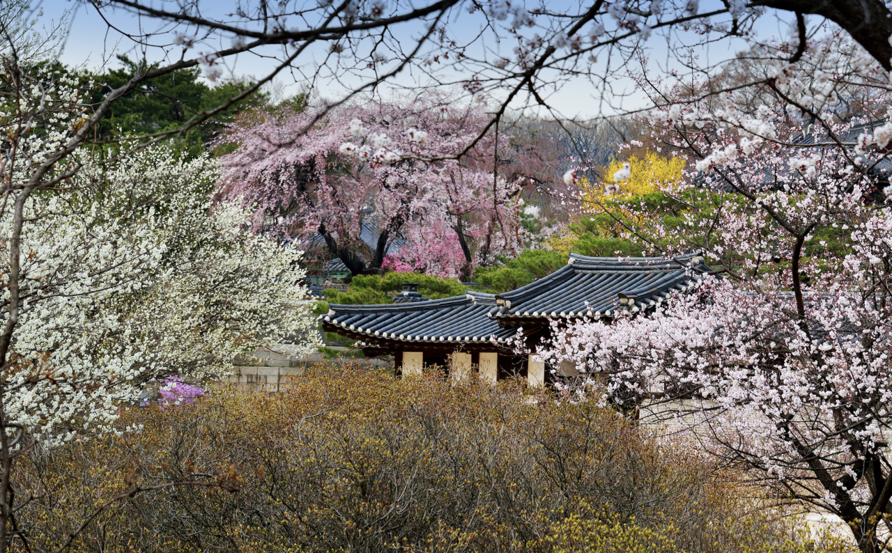 창덕궁 낙선재 권역 전경 [국가유산청]