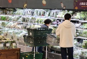 ‘탄핵 먹구름’ 걷히면 소비심리 볕 들까